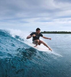 Mahi Mahi Mini Mal - Botanical -Ride The Board Beau Young TSBW Photo Ord113