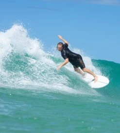 DAY DREAMER FISH - AU MADE 10 DAY DREAMER FISH - AU MADE -Ride The Board DayDreamWeb001