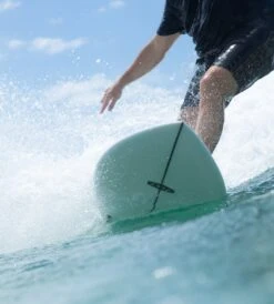 DAY DREAMER FISH - AU MADE 9 DAY DREAMER FISH - AU MADE -Ride The Board DayDreamWeb002