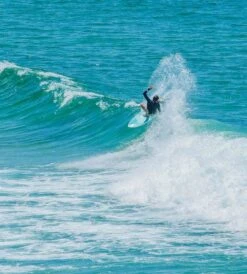 Flying Fish - AU Made -Ride The Board FlyingFISH001 66309.1517528795.1280.1280 a48f51d0 8023 4548 907d d92526638e06