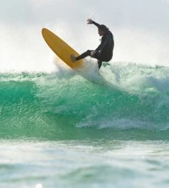 Funster Mango - Mini Mal -Ride The Board LifestyleFunsterMango Web Ready 1500x 2