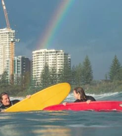 Funster Mango - Mini Mal -Ride The Board LifestyleFunsterMango Web Ready 1500x 3