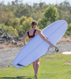 Mahi Mahi Mini Mal - Clearskin -Ride The Board Mahi Mahi Web Ready 03