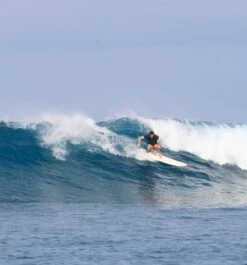 Mahi Mahi Mini Mal - Paint Dots -Ride The Board Sept 15 4Bobs 339 13b6d90d c077 45ec 827f 89168a6a4adb