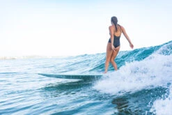 Blue Moon Longboard By Rachael Tilly -Ride The Board WhatsAppImage2023 08 18at5.02.12PM