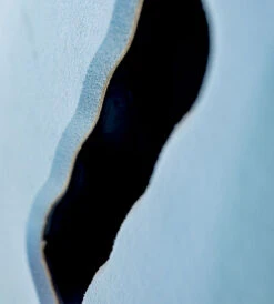 Learn To Surf Bugs Softboards -Ride The Board bugsboardsdetail d27ce142 8810 4585 a17a e0138ad2e26c