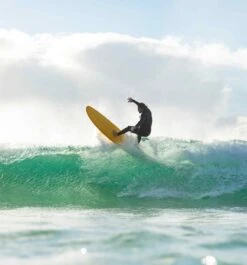 Funster Pine Lime - Mini Mal -Ride The Board funster2 0a2756b8 e11f 4a89 99d1 d0a1d2edae76