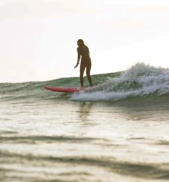 Funster Blueberry - Mini Mal 10 Funster Blueberry - Mini Mal -Ride The Board funster3