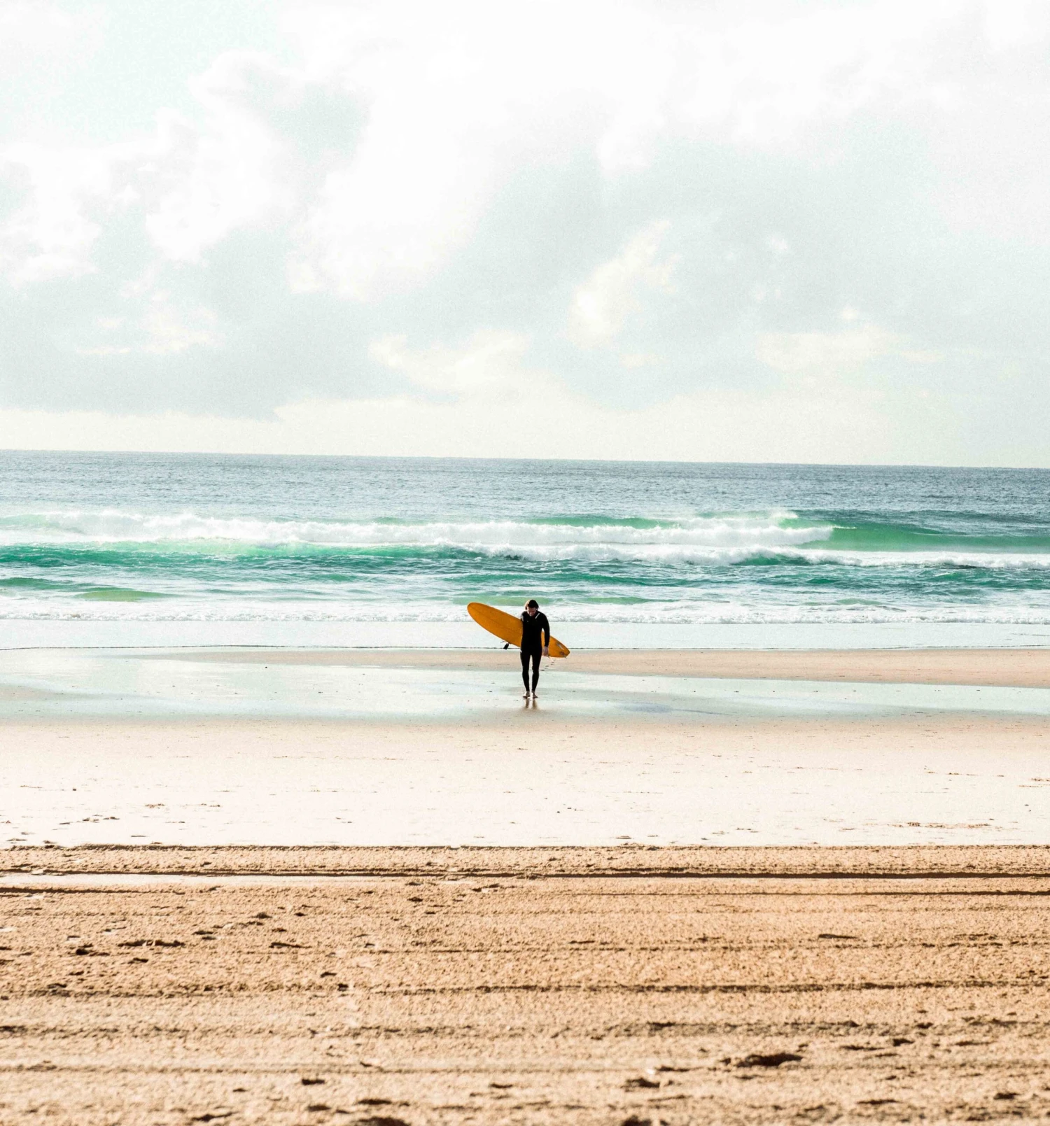 Funster Blueberry - Mini Mal 7 Funster Blueberry - Mini Mal - Image 5