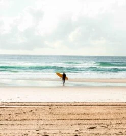 Funster Pine Lime - Mini Mal -Ride The Board funster4 d8f0a2c2 e809 4531 acaf 2cd49efea7d7