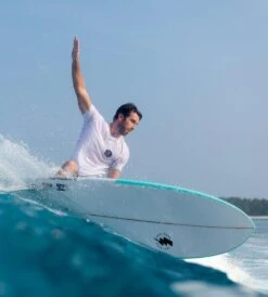 BOM BORA - MODEL - EPS HYBRID -Ride The Board semisoftTom001 06631.1576199457.1280.1280 1