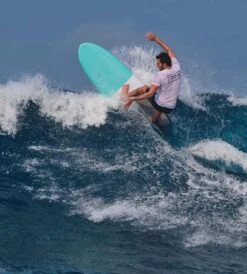 BOM BORA - MODEL - EPS HYBRID -Ride The Board semisoftTom002 90915.1576199457.1280.1280 1