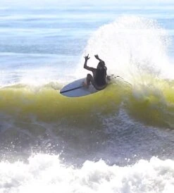 Ride The Board -Ride The Board zephyr002 24698.1517528516.1280.1280 6358ccd5 df50 4d58 aade 07eb357b81d0